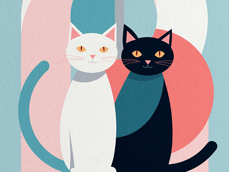 Minimalistische Illustration: weiße und schwarze Katze vor geometrischen Pastellformen