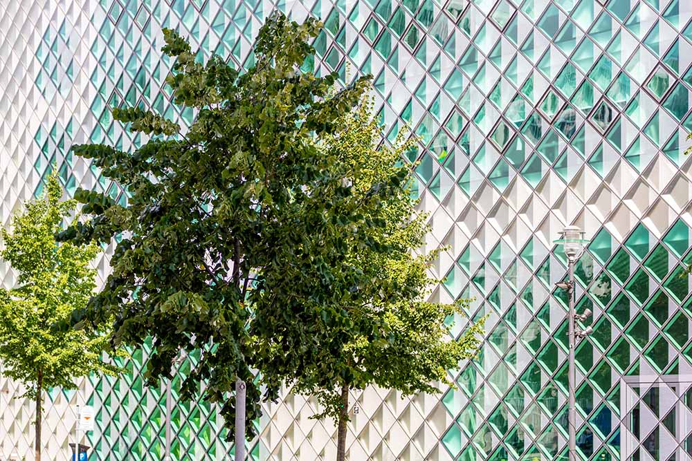 Rautenförmige Glasfassade des Futuriums mit Bäumen davor