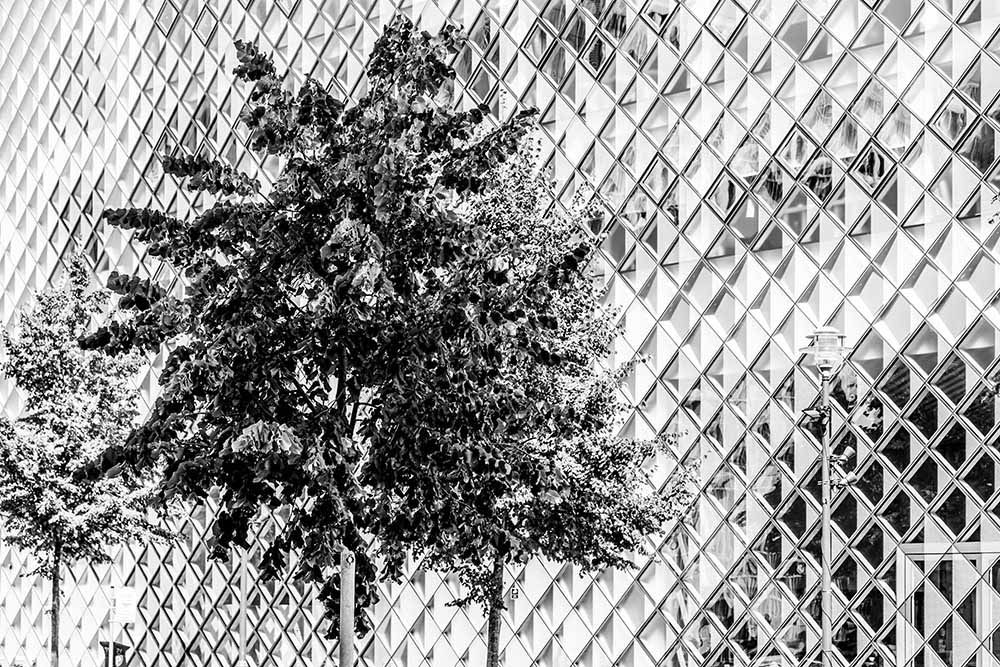 Rautenförmige Glasfassade des Futuriums in Schwarz‑Weiß