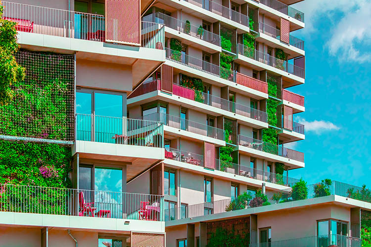 Modernes Wohngebäude in Erfurt mit üppiger Fassadenbegrünung