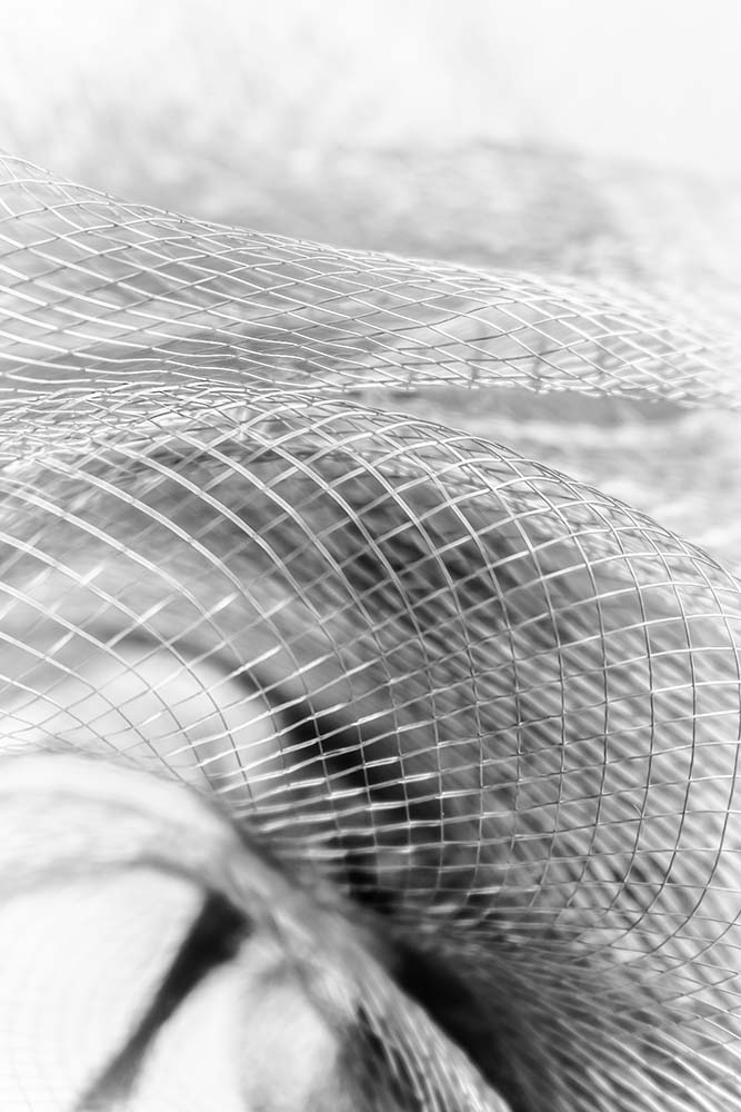 Fein geschwungenes Drahtgewebe in abstrakten, lichtdurchfluteten Formen.