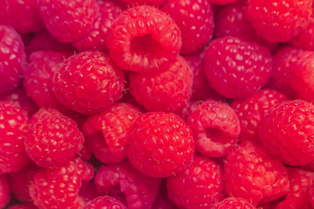 Frische rote Himbeeren in dichter, detaillierter Nahaufnahme.