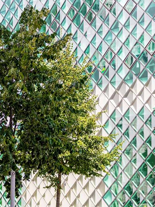 Diamond-shaped glass facade of the Futurium with trees in front of it
