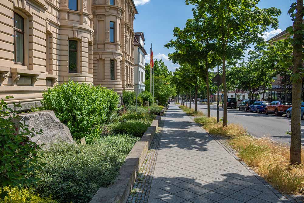 Straßenszene in Weimar mit historischer Fassade und Baumreihe.